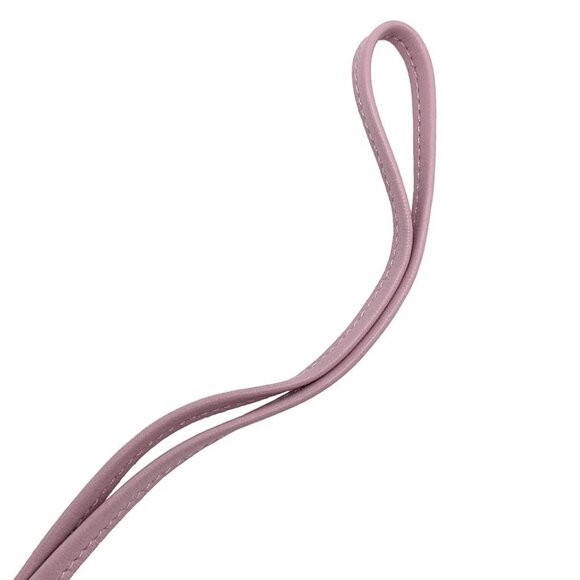 HERMES Rodeo Pegasus Bag Charm Size PM Lambskin Chai/Mauve Sylvestre/Menthe - Picture 10 of 10